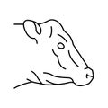 cow animal zoo line icon vector illustration Royalty Free Stock Photo