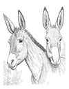 Two donkeys as best friends coloring page