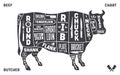 Cow, beef. Scheme, diagram, chart pork, butcher guide