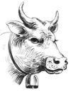 Cow with a bell