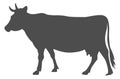 Cow black silhouette. Farm livestock animal symbol