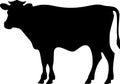 Cow - black and white vector illustration