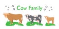 Cow, bull and little calf flat cartoon illustration isolated on white Royalty Free Stock Photo