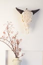 Cow bull head and dried berry flowers home decor on white wall