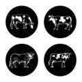 Cow and bull icon set, white linear icons on black. For packaging of dairy and meat products, milk and beef Royalty Free Stock Photo
