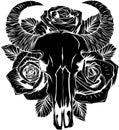 black silhouette of Cow or bull skull with roses. Outline vector illustration isolated on white background Royalty Free Stock Photo