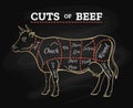 Cow butcher cut beef chalkboard scheme