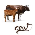 Cow Calf brown, vector