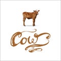 Cow Calf brown, vector