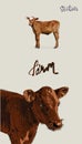 Cow Calf brown, vector set vector