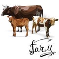 Cow Calf brown, vectors