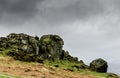 Cow and Calf Rocks Royalty Free Stock Photo