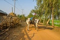 Cow carriage taxi for tourists near the the village Kampong Tralach Leu in Cambodia