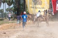 Cow cart racing festival in Thailand Royalty Free Stock Photo