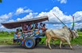 Cow cart. is a traditional means of land transportation in Indonesia. This picture was taken in Klaten, Central Java.