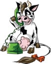 Cow on a cell phone