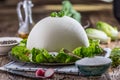 Cow Cheese. Fresh white cow cheese with lettuce salad radish salt pepper and olive oil Royalty Free Stock Photo