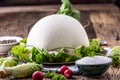 Cow Cheese. Fresh white cow cheese with lettuce salad radish salt pepper and olive oil Royalty Free Stock Photo