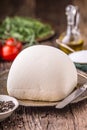 Cow Cheese. Fresh white cow cheese with lettuce salad radish salt pepper and olive oil Royalty Free Stock Photo