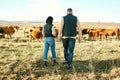 Cow, countryside or couple on agriculture farm harvesting healthy organic livestock for growth sustainability. Back view Royalty Free Stock Photo