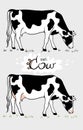 Cow. Cow eating grass. Cow isolated, set of elements