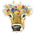 Cow. Cow watercolor illustration. Milking Cow Breed.