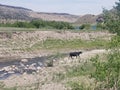 Cow Creek open country hiking camping cowboy