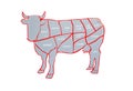 Cow and cut of beef or beef chart. Diagram of different parts of a cow,