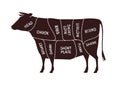 Cow cutting scheme. Butcher shop, beef vector illustration