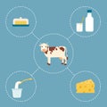 Cow and dairy products Royalty Free Stock Photo