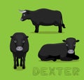 Cow Dexter Cartoon Vector Illustration Royalty Free Stock Photo