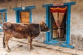 Cow at the door