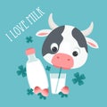 Cow drinking milk