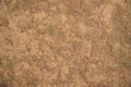 Cow Dung brown plaster of soil abstract Texture Background Countryside of Bangladesh