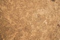 Cow Dung brown plaster of soil abstract Texture Background Countryside of Bangladesh