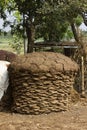 Cow dung Cakes arrangement Royalty Free Stock Photo