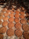 Cow dung cakes, gobar upla for Indian rituals die Royalty Free Stock Photo