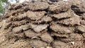 Dry cow dung cakes Thepadi for burning fire Royalty Free Stock Photo