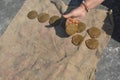 Pure Cow Dung Cakes Gobar Upla for Hawan and Indian Rituals,