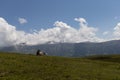 A lonely cow in front of scenic mountain panorama in Alpe di Siusi, South Tyrol, Italy Royalty Free Stock Photo