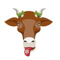 The cow face character chews a flower on a white isolated background. Vector image