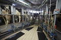 Cow farm agriculture milk automatic milking system
