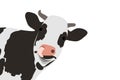 Cow farm animal Royalty Free Stock Photo