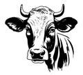 Cow farm animal sketch hand drawn Vector illustration Cartoon Royalty Free Stock Photo