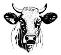 Cow farm animal sketch hand drawn Vector illustration Comic Royalty Free Stock Photo