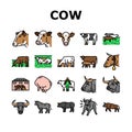 cow farm dairy cattle milk white icons set vector Royalty Free Stock Photo