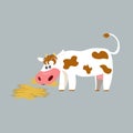 A cow on a farm eating hay.Cow. White cheerful , paper cut out,ladybird with red spots. Royalty Free Stock Photo