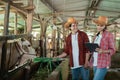 a cow farmer girl uses a tablet when a male farmer feeds cows with hay Royalty Free Stock Photo