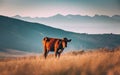 Cow in the field, eating grass and looking good, make with AI