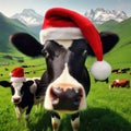 cow in the field wearing santa hat generative ai Royalty Free Stock Photo